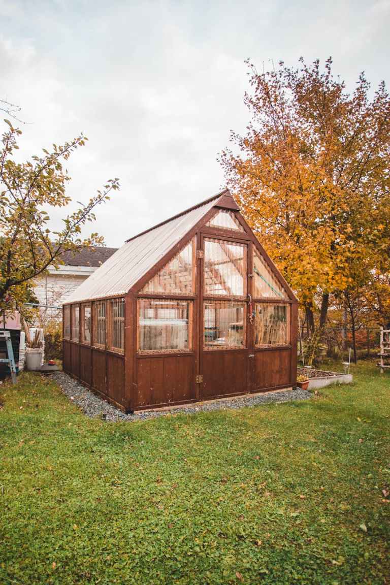 small wooden shed in autumn