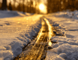 tire tracks in the snow in the still morning.