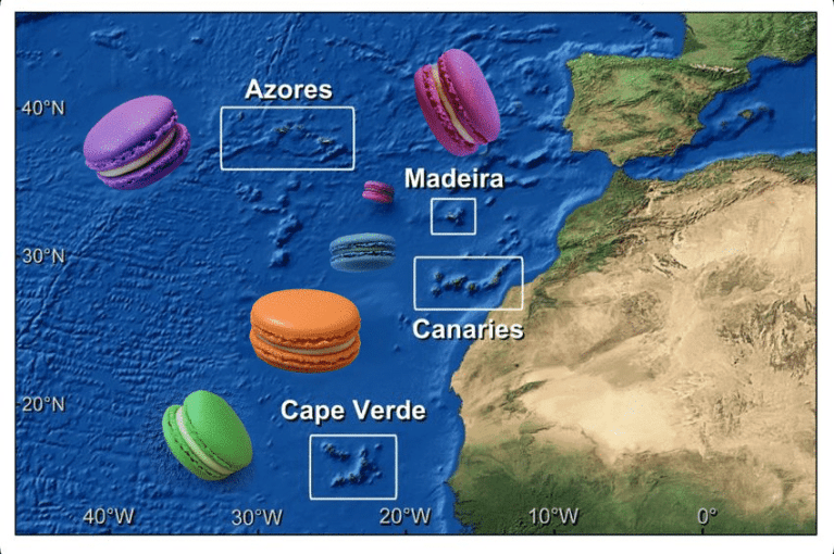 The Azores, Madeira, Canary Islands and Cape Verde are the eastern Atlantic islands that make up Macronesia.