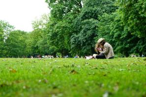 people sitting on green grass field